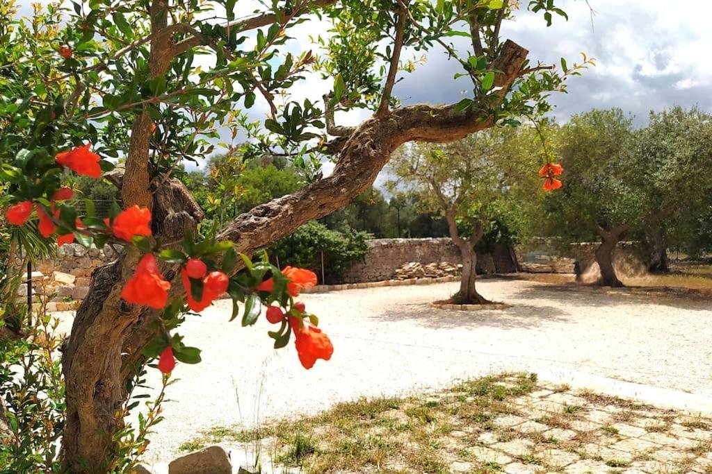 Villa Trullo Mami Putignano Exterior foto